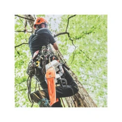 Stihl 12522000048 Chainsaw, Tool Only, 36 V, Lithium-Ion, 30 Cm Cutting Capacity, 12 In L Bar, 1/4 In Pitch, Top Handle 7 Stihl 12522000048 Chainsaw, Tool Only, 36 V, Lithium-Ion, 30 Cm Cutting Capacity, 12 In L Bar, 1/4 In Pitch, Top Handle -Stihl 102738001 1