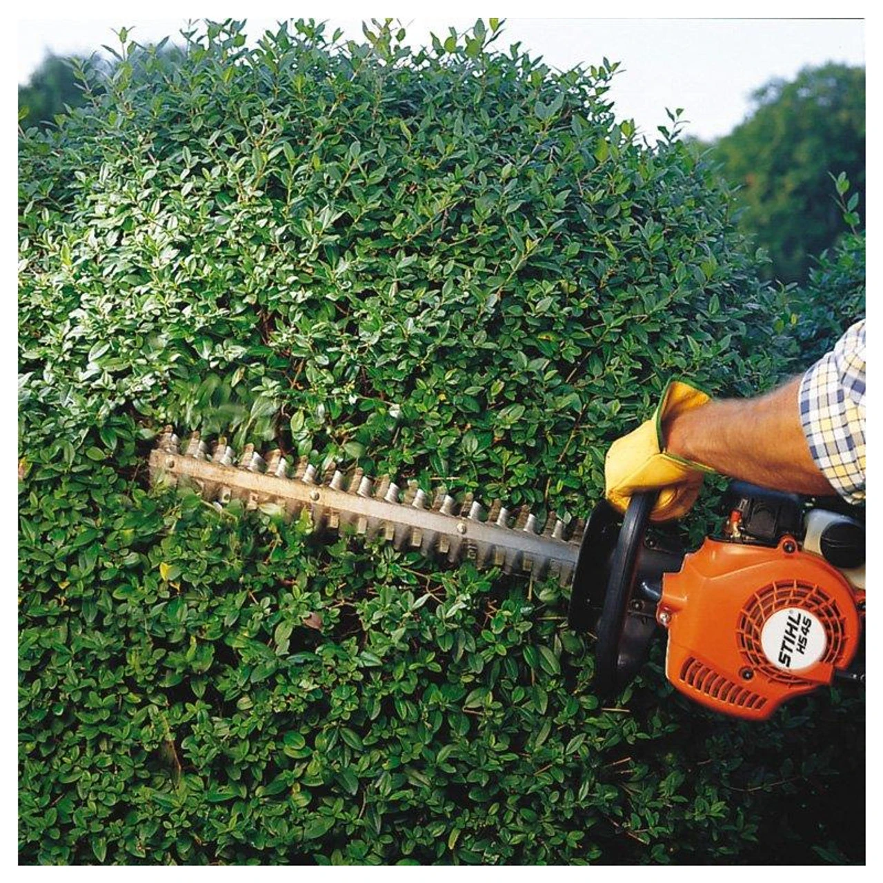 Stihl HS 45 Double Sided Blade Hedge Trimmer 1 Stihl HS 45 Double Sided Blade Hedge Trimmer